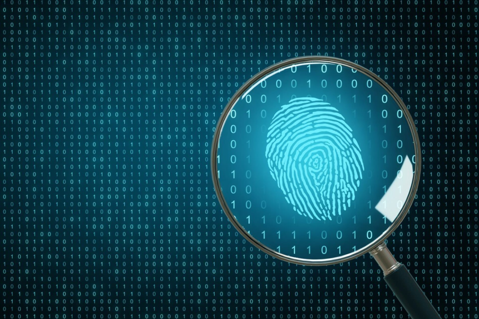 Technology - Digital Detectives: Fraud 