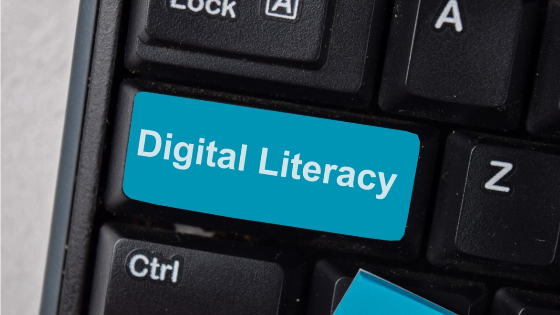 digital illiteracy essay