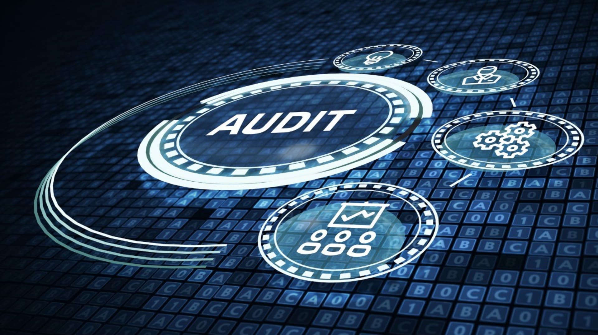 Technology audit and assessment