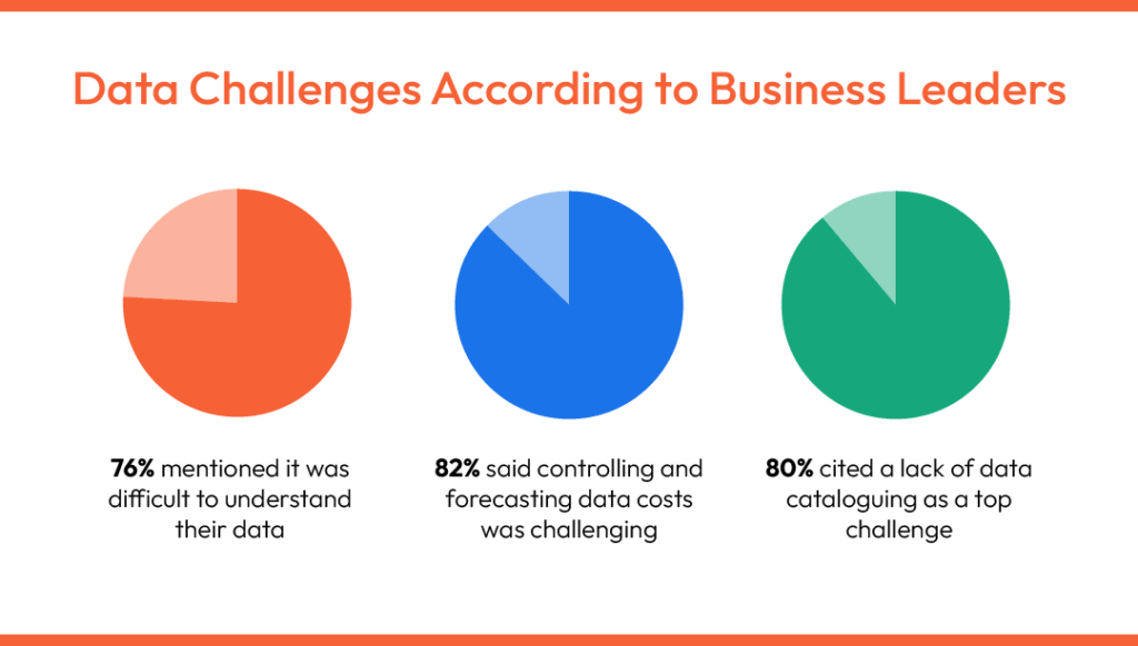 Three pie charts illustrate key data challenges reported by business leaders, including difficulty understanding data, managing data costs, and the absence of data cataloguing practices.